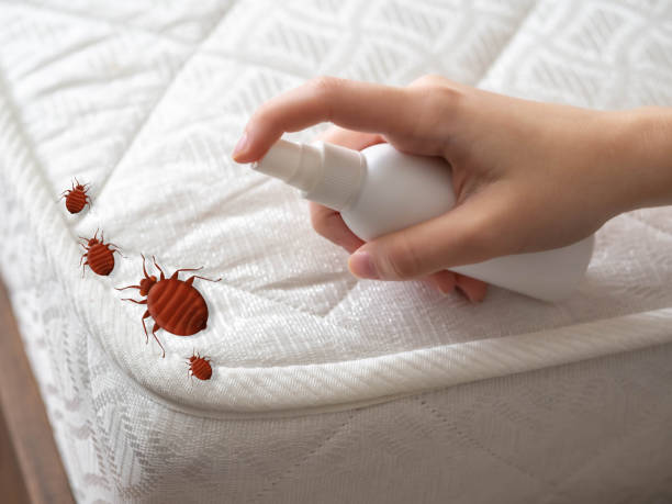 Best Commercial Pest Control Services  in Fairborn, OH