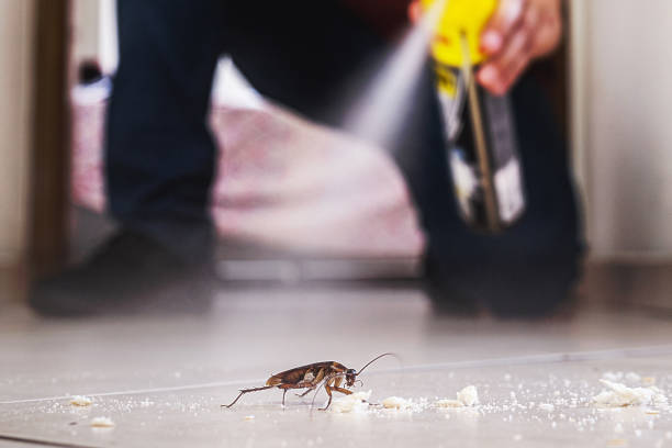 Best Best Pest Control Companies  in Fairborn, OH